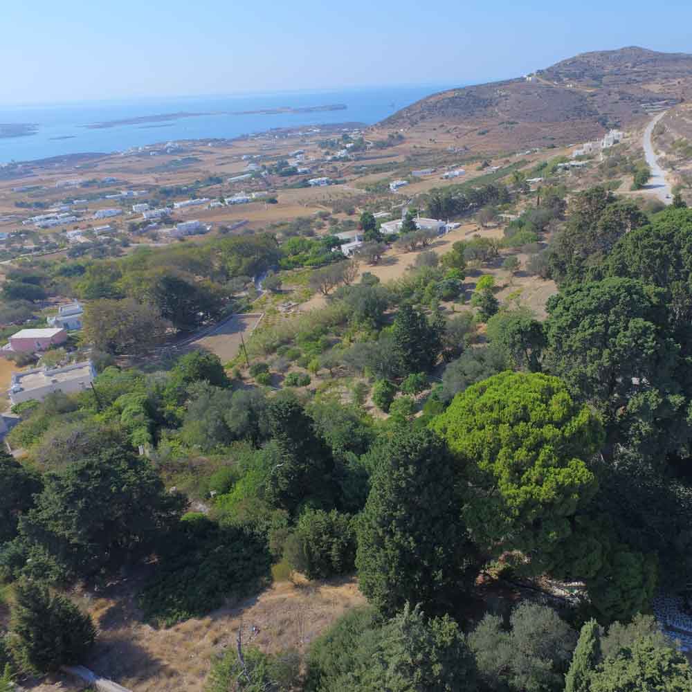 La Valle delle Farfale