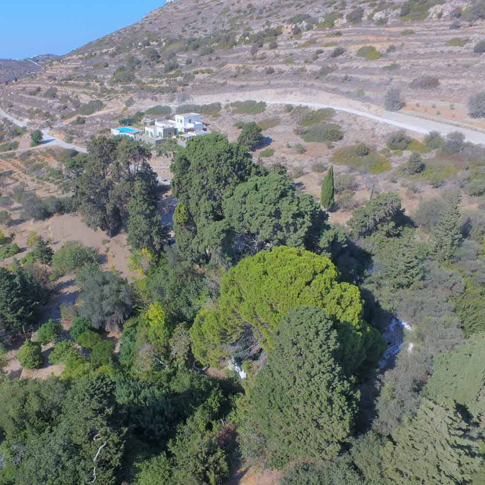 La Valle delle Farfale