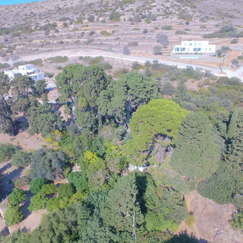 La Valle delle Farfale